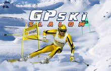 Подробнее об игре GP Ski Slalom