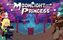 Подробнее об игре Moonlight Princess