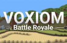 Подробнее об игре Voxiom.io