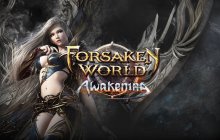 Подробнее об игре Forsaken World