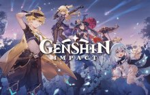 Подробнее об игре Genshin Impact
