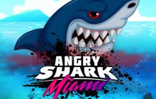 Злая акула в Майами
