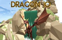 Подробнее об игре Dragon io