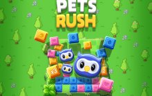 Подробнее об игре Pets Rush
