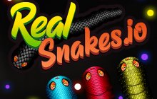 Подробнее об игре Real Snakes.io