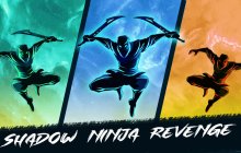 Подробнее об игре Shadow Ninja Revenge