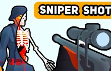 Подробнее об игре Sniper Shot: Bullet Time