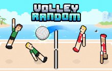 Подробнее об игре Volley Random